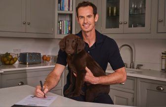 Andy Murray and new puppy Bonnie to become face of pet food Purina