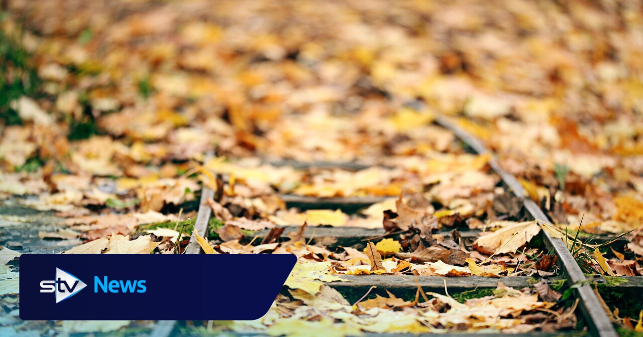 Network Rail to spend £6.4m removing autumn leaves from Scottish ...