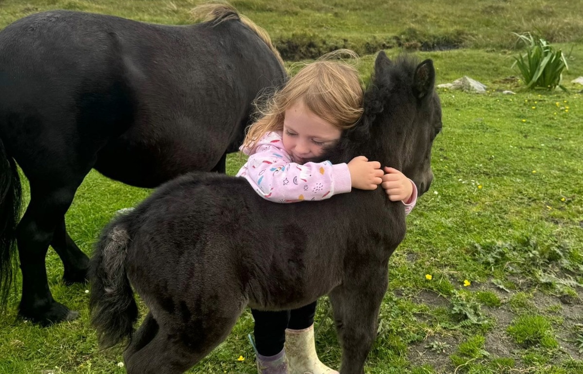 Donald said his four-year-old daughter is not getting the chance to name the foals before they are being snatched.