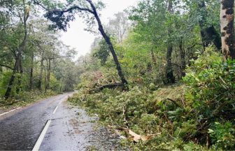 Road worker clearing trees blown down by Storm Amy with chainsaw assaulted and pushed into ditch on A82