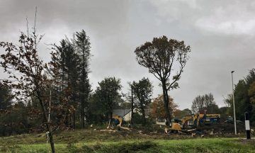Investigation launched after 80 trees cut down in East Kilbride without permission