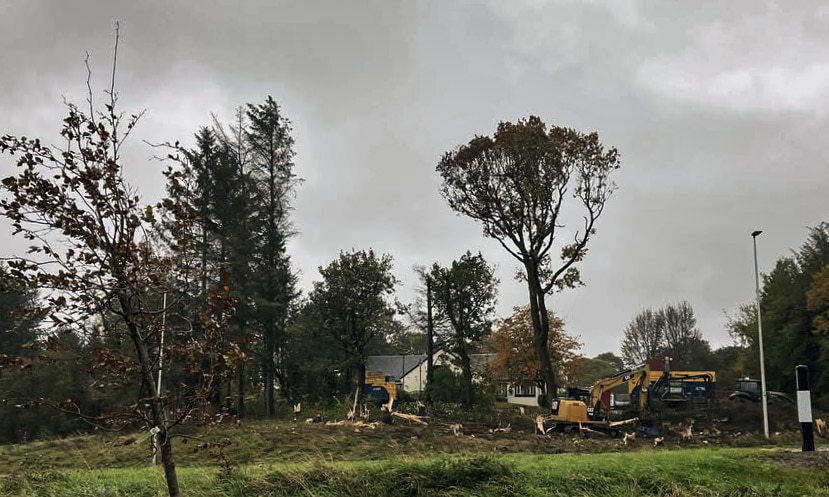 Backlash after East Kilbride restaurant owners cut down 80 trees without permission