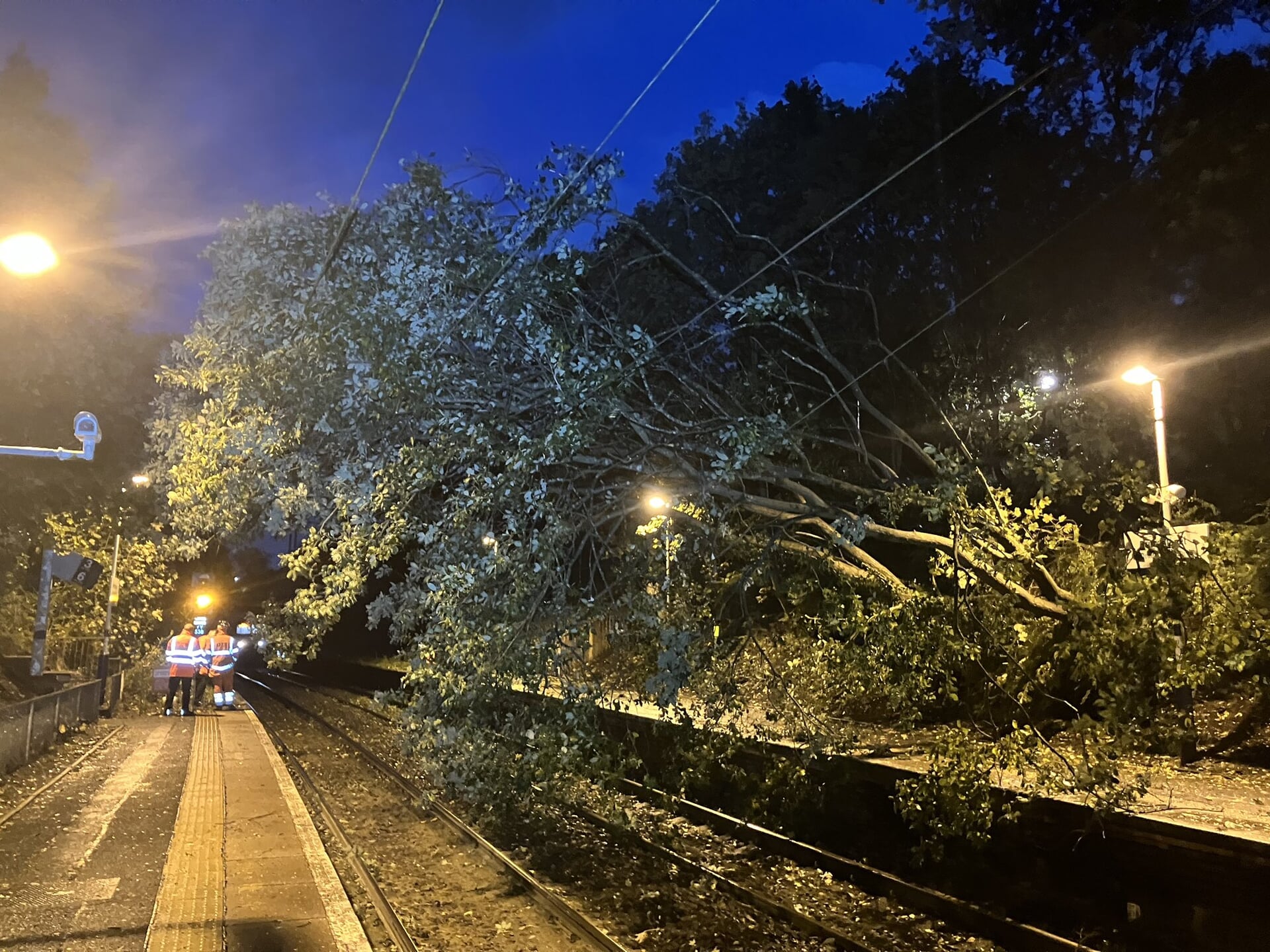 Tree has fallen at Drumchapel train station.