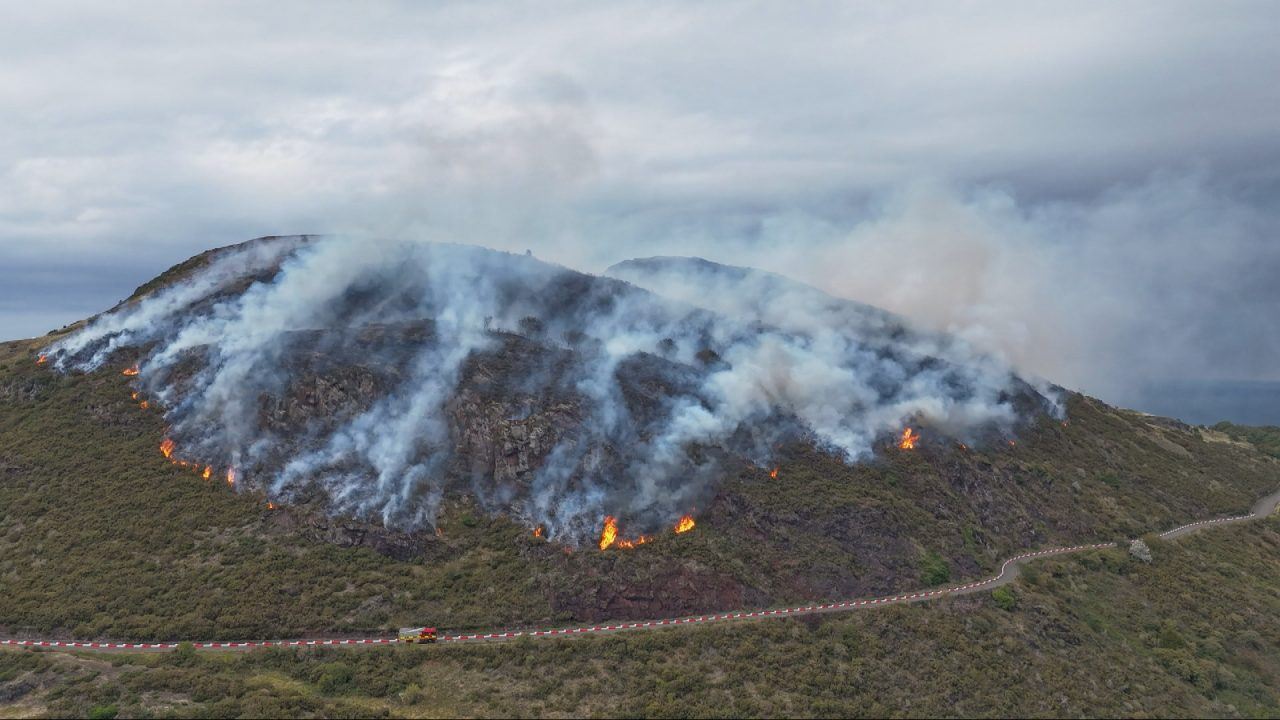 Wildfire