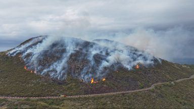 Warning over Scotland’s natural resilience to wildfires after spate of devastating blazes