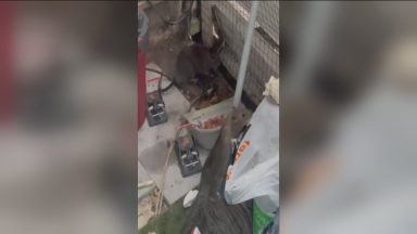 ‘I’ve been traumatised by the rat infestation outside my home’
