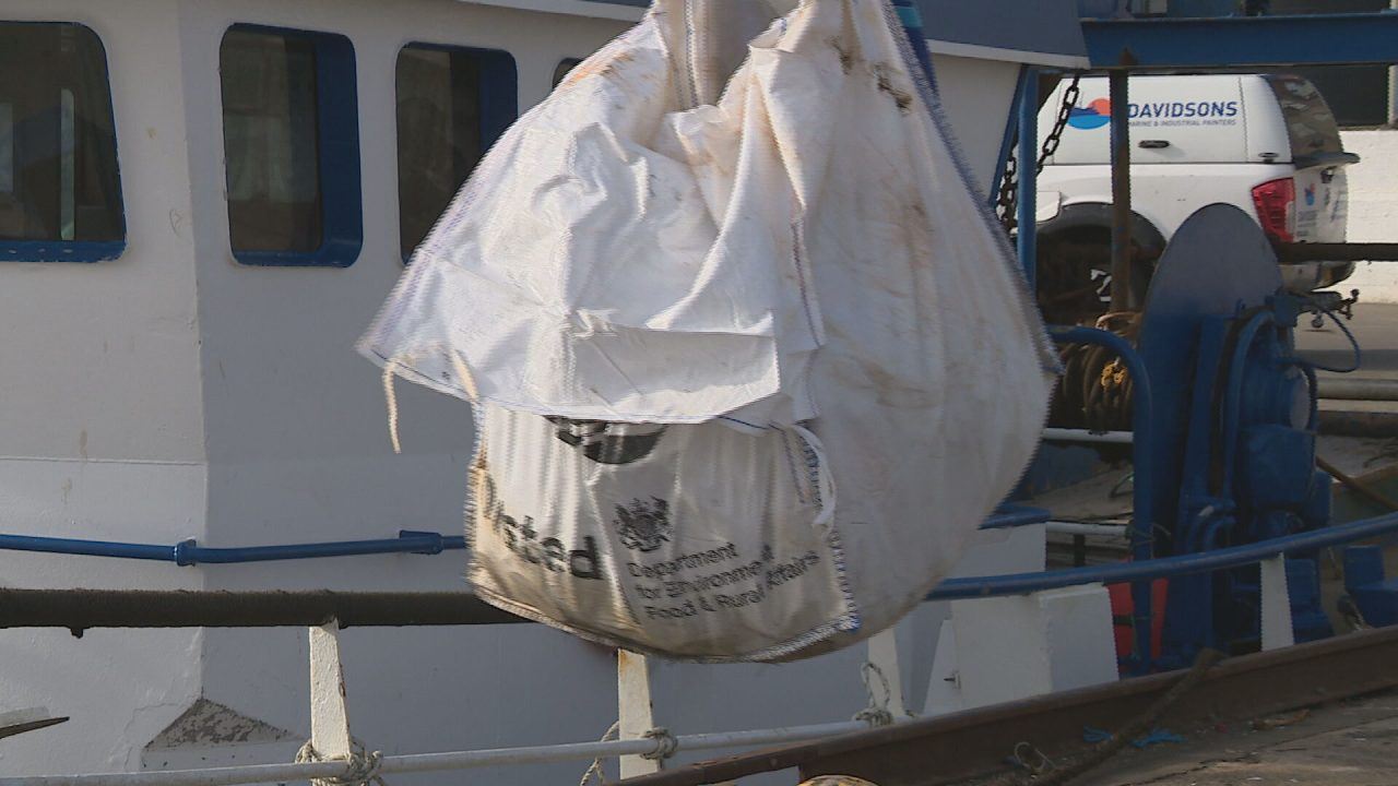 Fishing for Litter: Golf balls, vapes and Christmas trees among debris found in sea