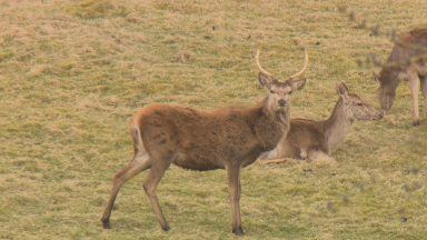 Natural Environment Bill could hinder work, warns rural sector