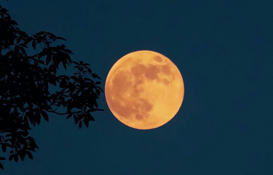 Harvest Moon 2025: Will the first supermoon of the year be visible in ...