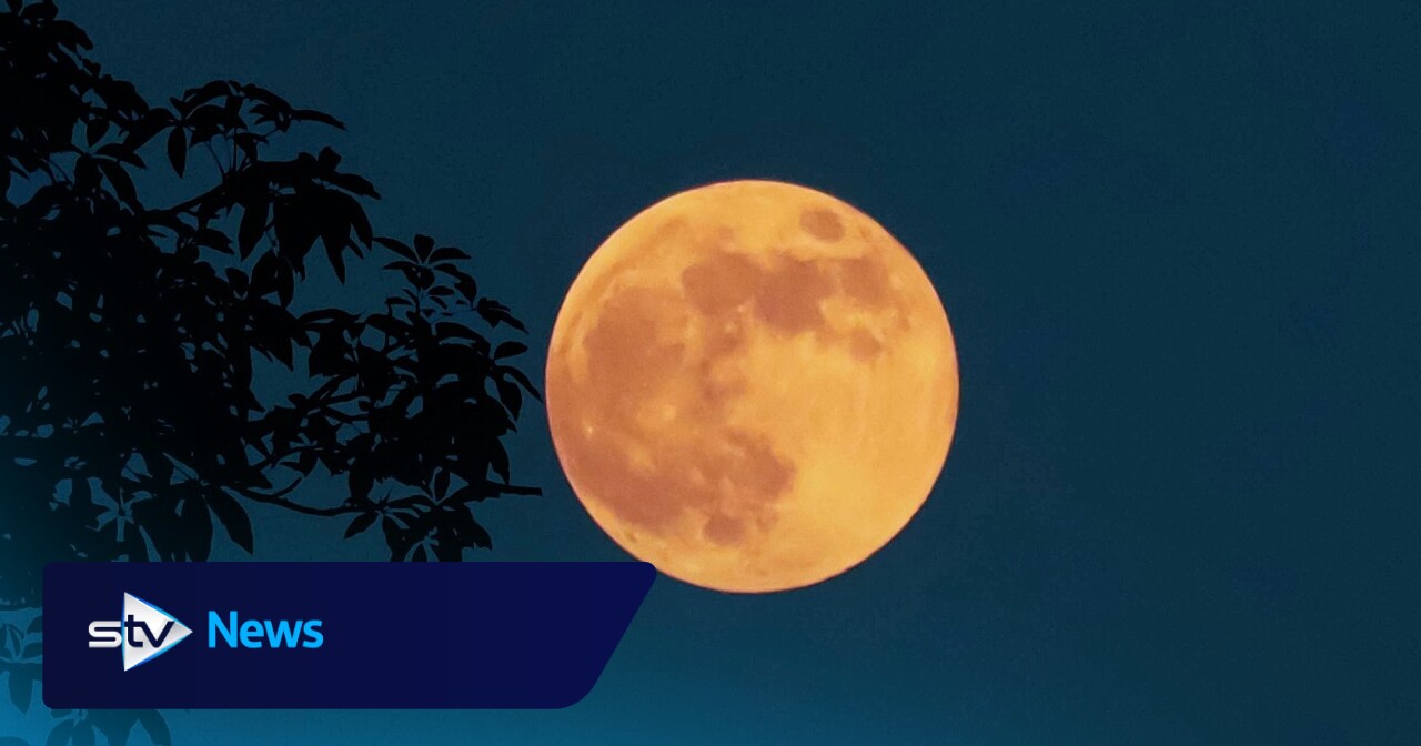 Harvest Moon 2025: Will the first supermoon of the year be visible in ...