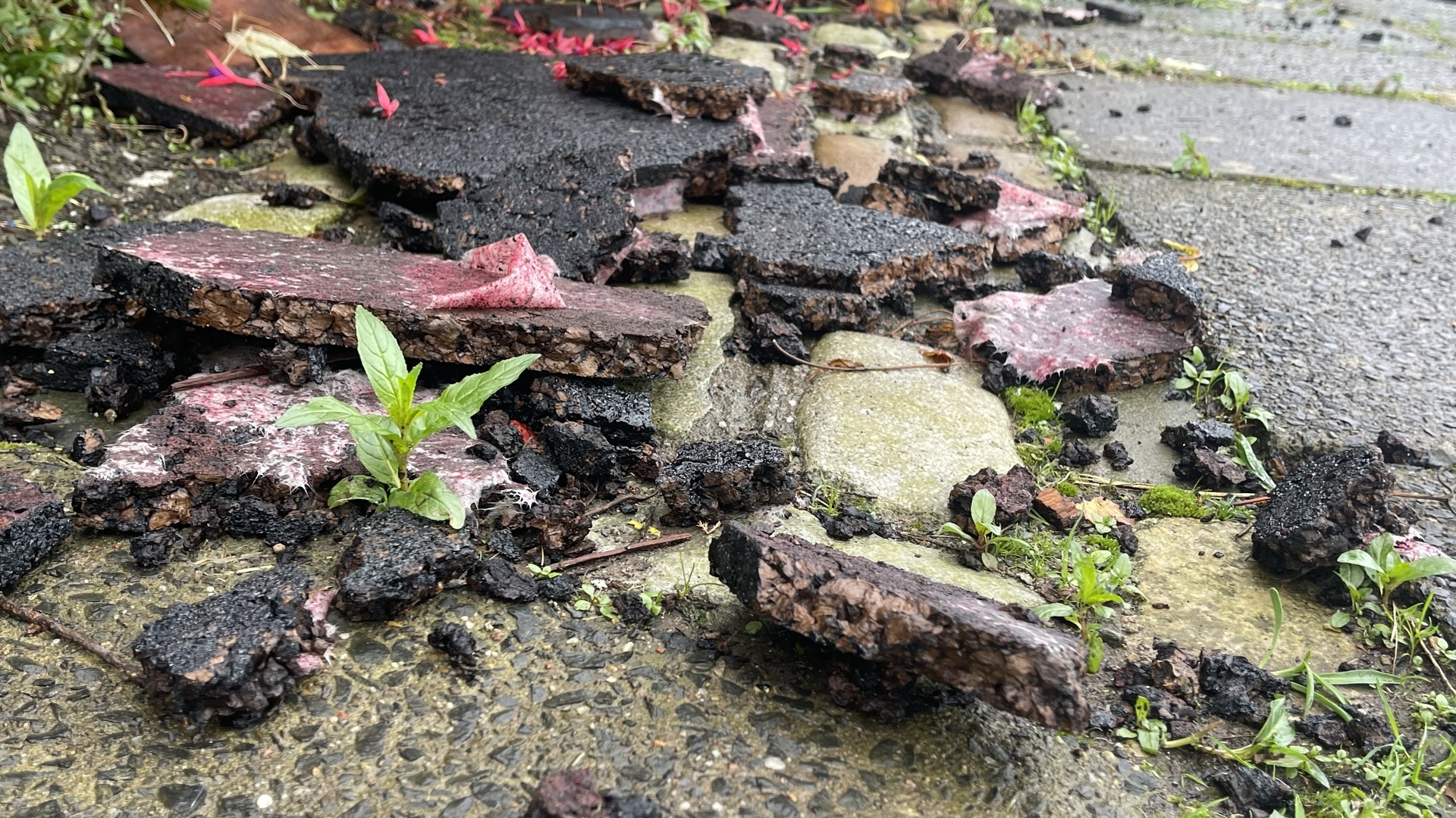 Debris left on the street after a roof was blown off flats in Cumbernauld