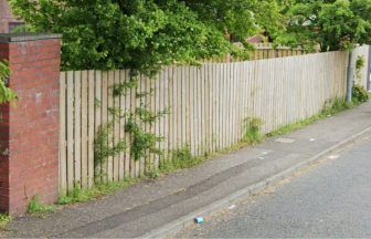 Homeowner erected six-foot-tall fence around ‘unmaintained’ land size of tennis court