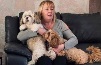 Speeding driver on cocaine comedown killed woman in three-car A7 crash