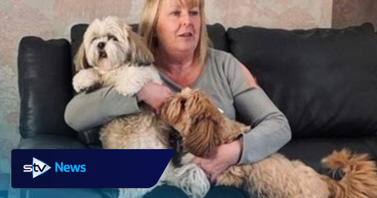 Speeding driver on cocaine comedown killed woman in three-car A7 crash ...