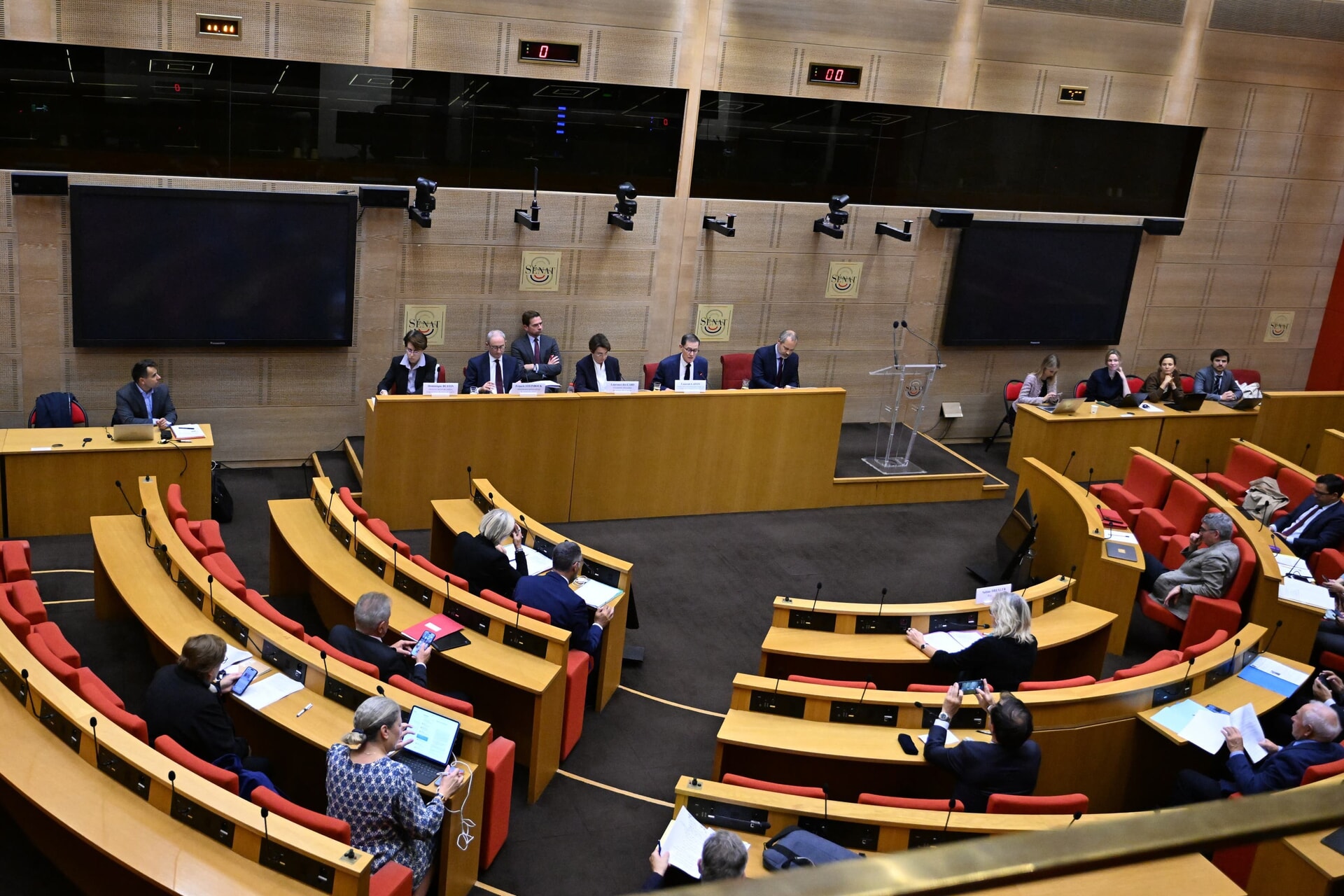 Members of the Culture commission of the Senate heard from the director of the Louvre, Laurence des Cars.