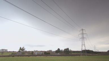 Campaigners against 200km pylon project say they feel ‘ignored’