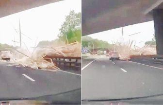 Tractor driver dies after trailer load of timber crashes onto motorway in Glasgow