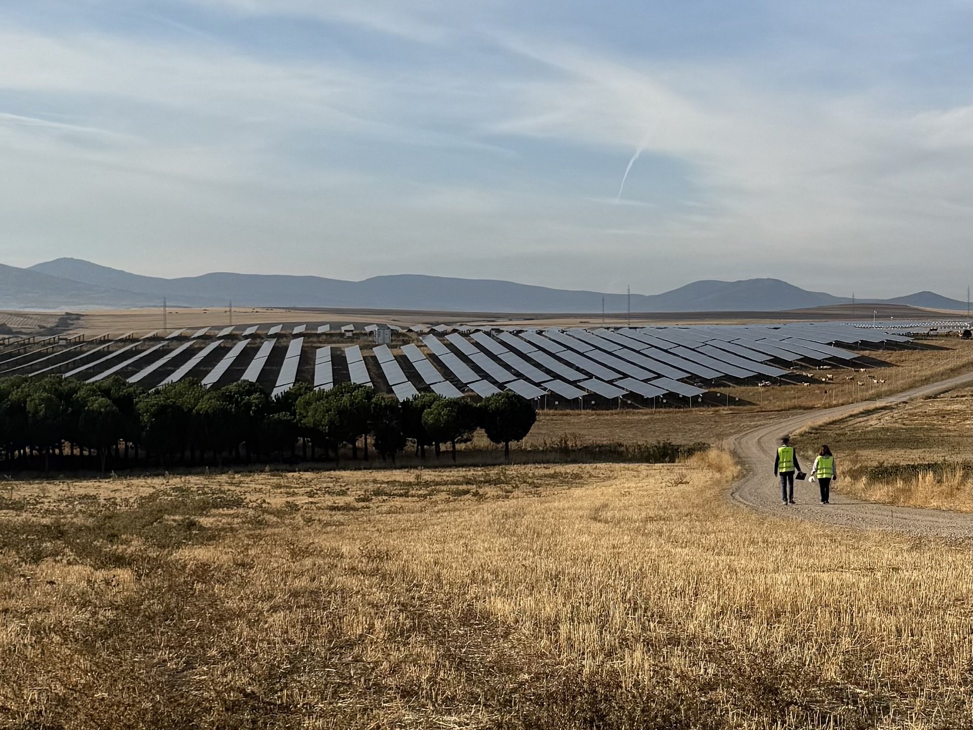 Solar panels at the 131MW solar farm developed by ib vogt in Segovia, Spain (Rebecca Speare-Cole/PA).