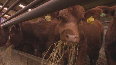 Funding committed to help farmers embrace innovation and sustainability