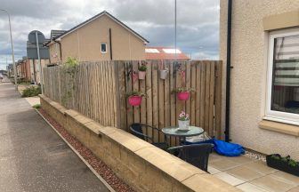 Councillors back call for ‘tasteful’ garden fence to be torn down