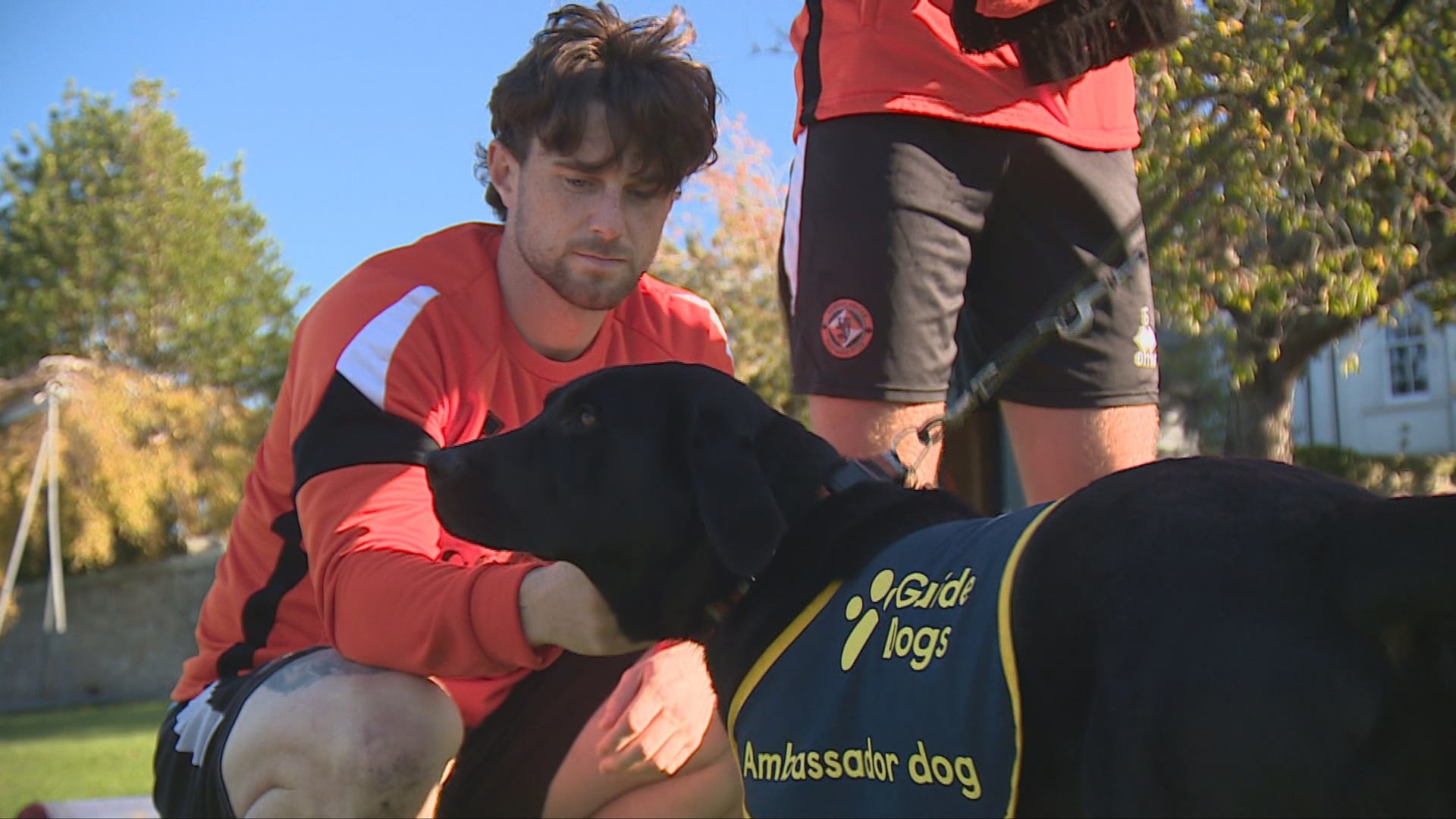 Guide Dogs Scotland and Dundee United have teamed up for 60th anniversary campaign