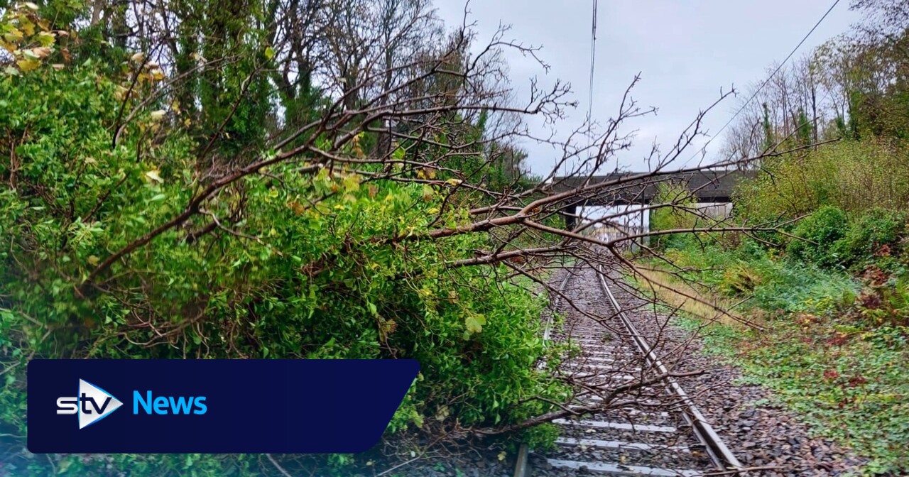 Trains cancelled after fallen tree blocks line at Largs | STV News