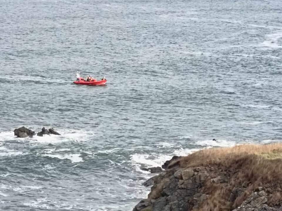Dog falls from cliff above Portsoy Harbour in Aberdeenshire as rescue teams called in