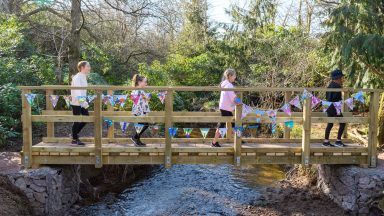 New battery storage development could close outdoor education charity situated in woodland near Lesmahagow