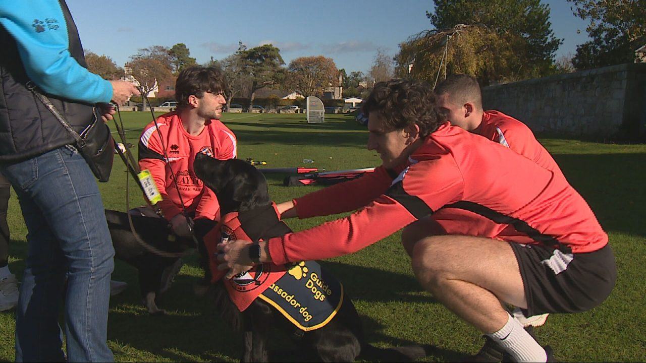 The current image has no alternative text. The file name is: fcee3d204bad7eb848fcfc360f3fdb3b-1761912338.jpeg