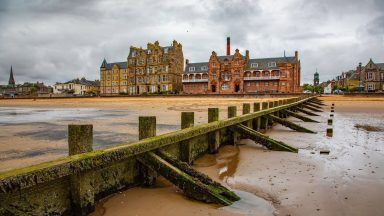 Body of small cat found ‘completely burned’ on Portobello beach