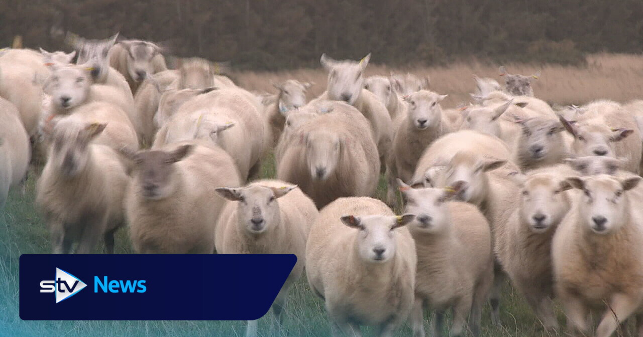 'This could end 200 years of farming': Sector braces for Autumn Budget