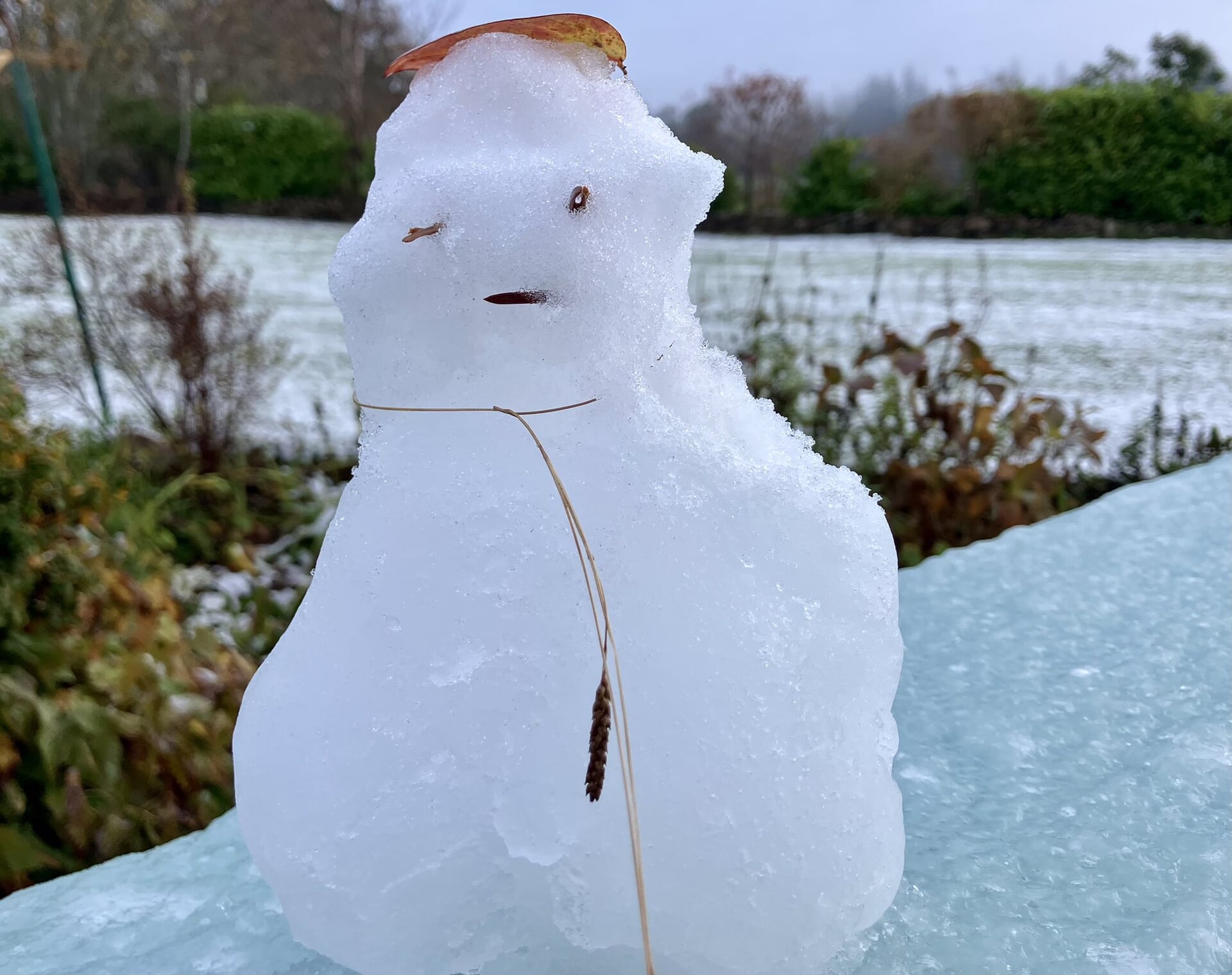 Multiple locals in Inverness took to social media to share pictures after they awoke to a dusting of snow on Friday morning.