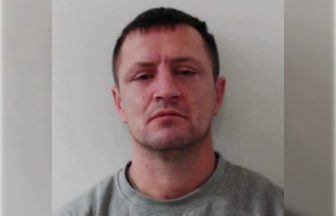 Murderer shot man with paintball gun and stabbed him to death