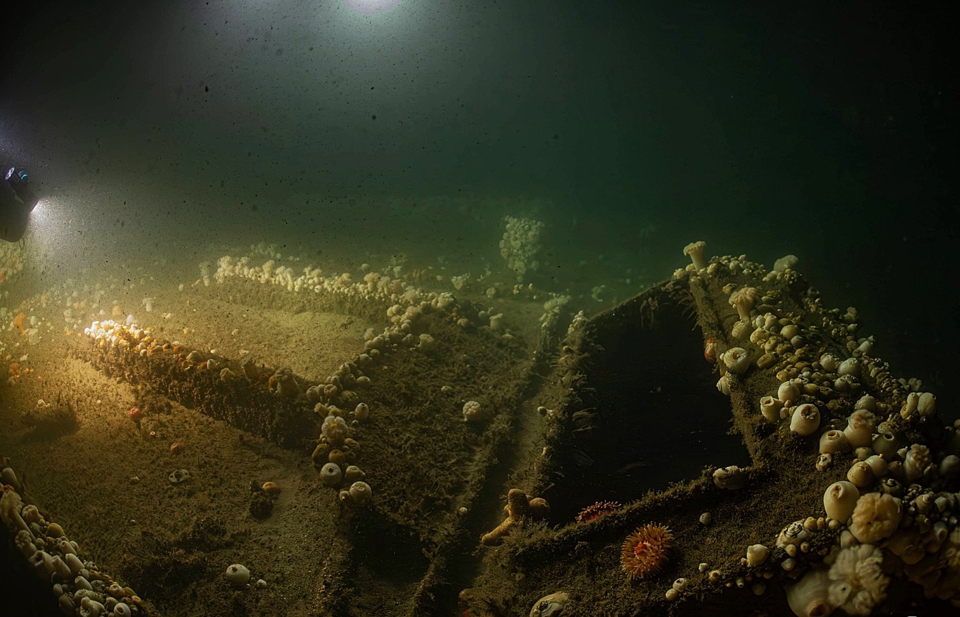 Divers from the community-led initiative, ProjectXplore, made the discovery.