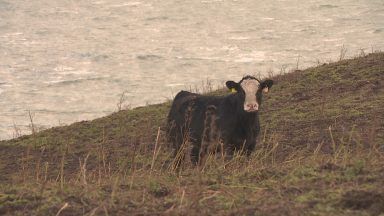 ‘This is the biggest threat the farming industry has ever faced’