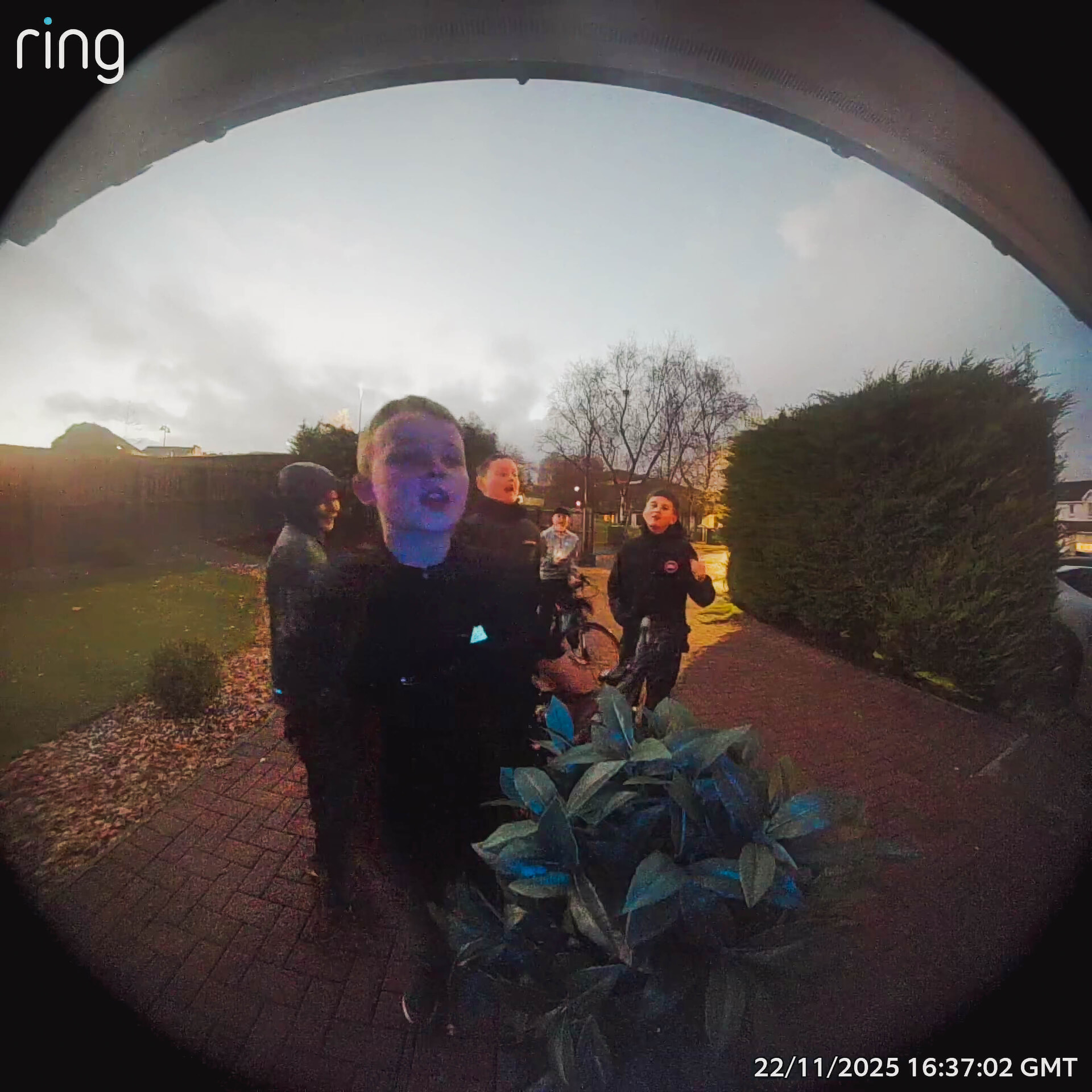 Jack Campbell, Dylan Thompson, Cameron Bourne, Liam Phillips, and Ollie Shearer belt out Wham's number one hit with some local flair.