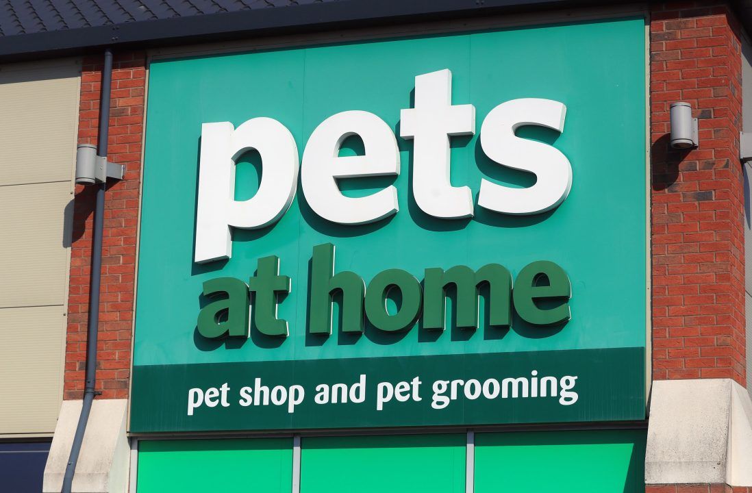 ‘Urgent’ measures needed to revive Pets at Home retail chain, says interim boss