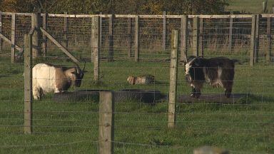 Social care charity seeking voluntary redundancies amid £800k funding gap