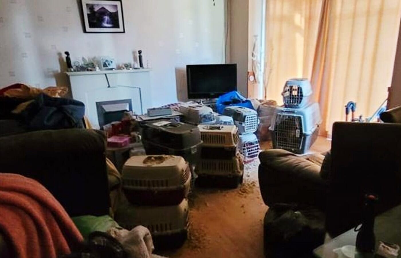 Birds of prey and owls were found trapped in filthy carriers