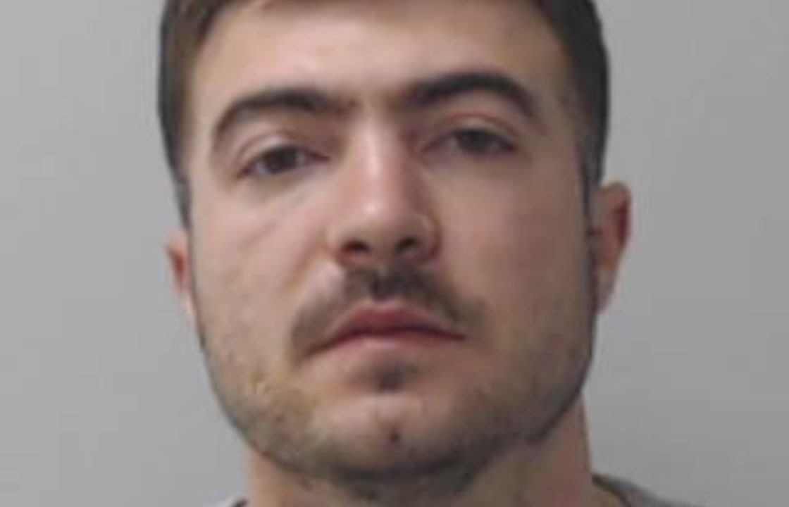 Illegal immigrant hired by criminal gang for English skills in cannabis farm plot jailed