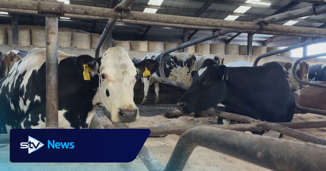 Farmers warn low milk prices could push them out of business