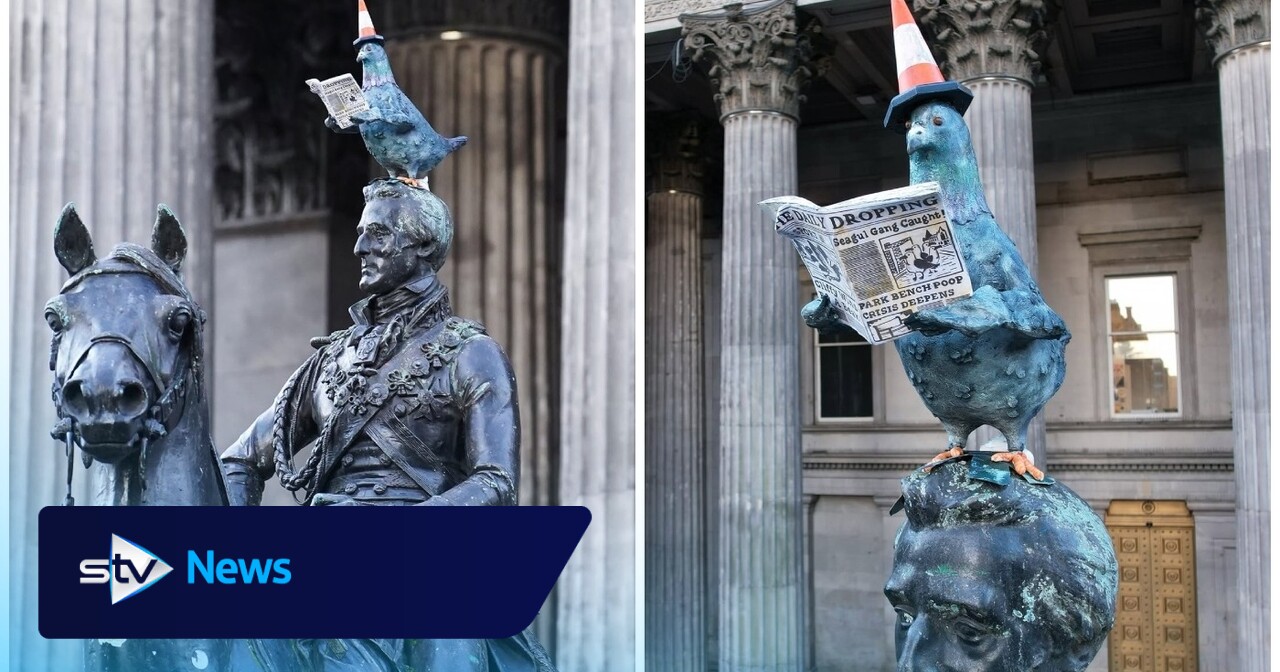 Duke of Wellington's cone replaced with pigeon reading a paper
