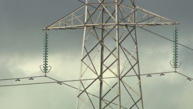 Campaigners welcome council objection to giant pylons plan