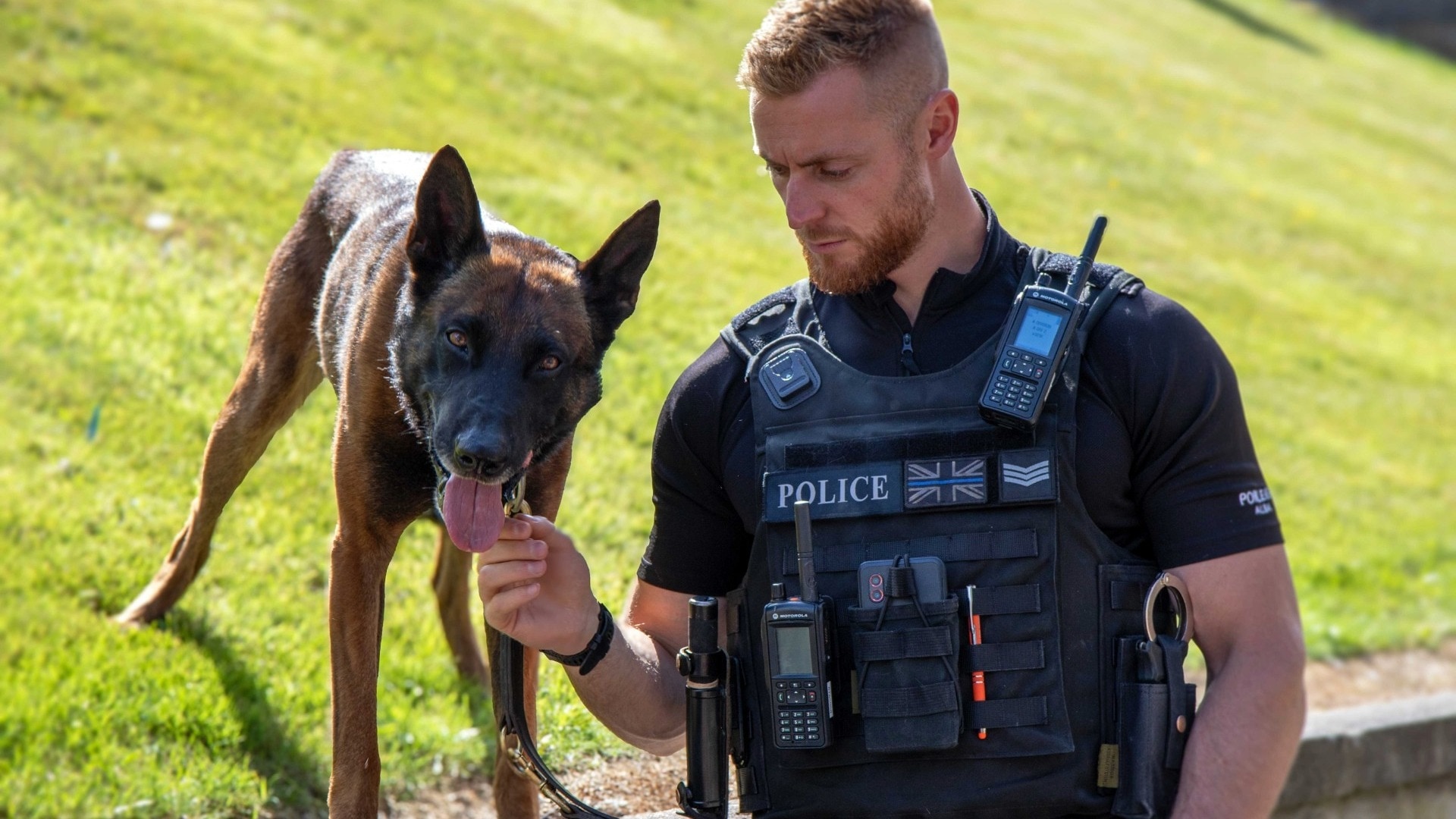 Police Dog Zeus became a local hero earlier this year after sustaining multiple stab wounds.