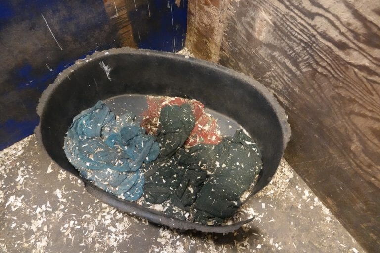 Dogs and puppies were left to sleep on damp towels