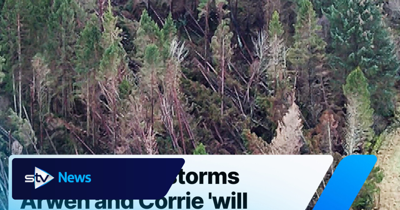 Damage from storms Arwen and Corrie ‘will take years' to clear