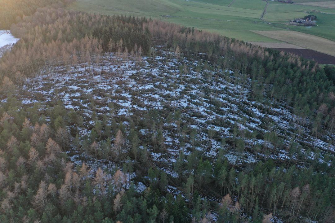 It will ‘take years’ to fully clear damage from previous storms – National Trust