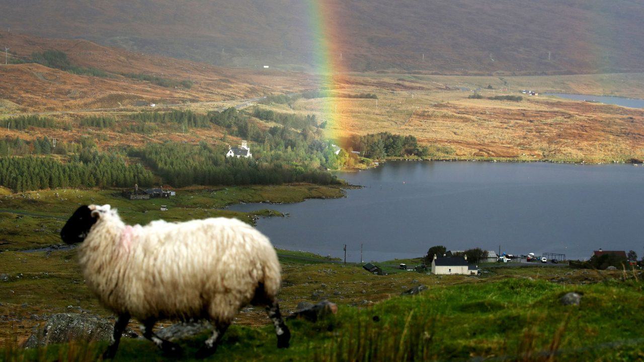 Most rural residents think politicians do not understand countryside