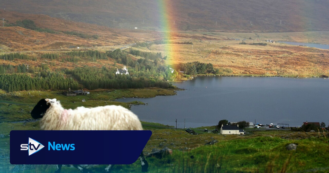 Most rural residents think politicians do not understand countryside