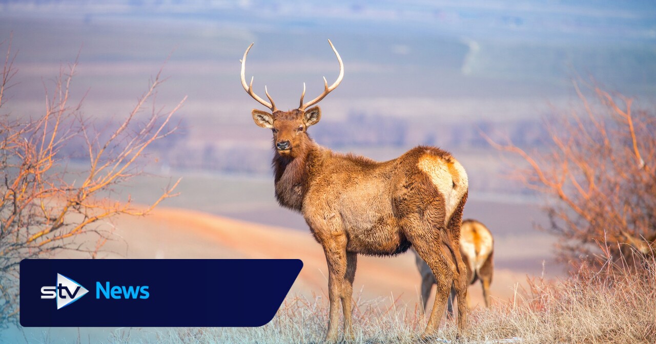 Christmas weather forecast from Sean Batty